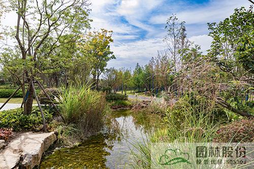 彩运网(中国游)官方网站