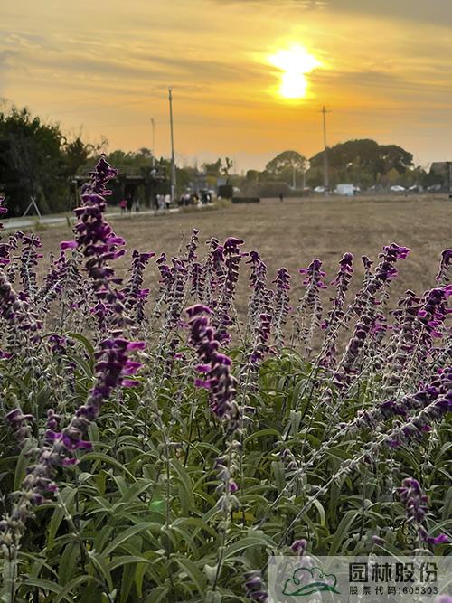 彩运网(中国游)官方网站