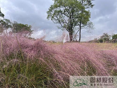 彩运网(中国游)官方网站