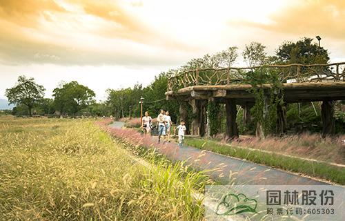 彩运网(中国游)官方网站