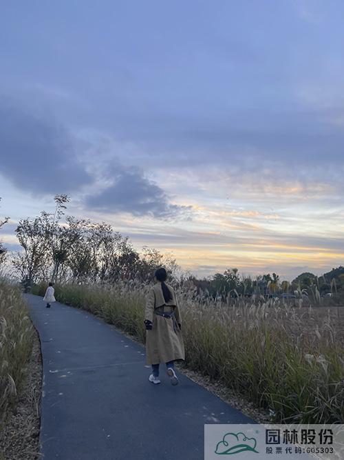 彩运网(中国游)官方网站