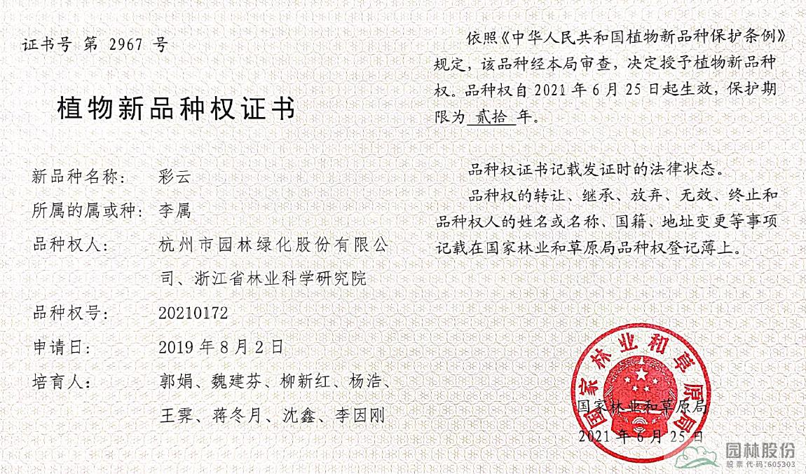 彩运网(中国游)官方网站