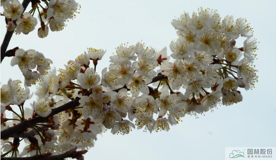 彩运网(中国游)官方网站