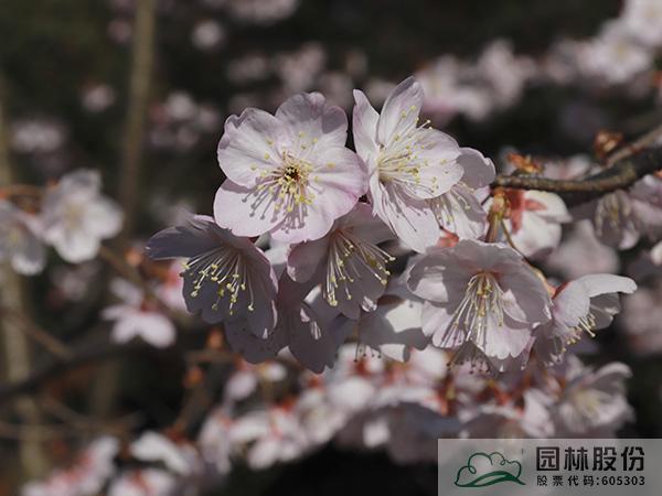 彩运网(中国游)官方网站