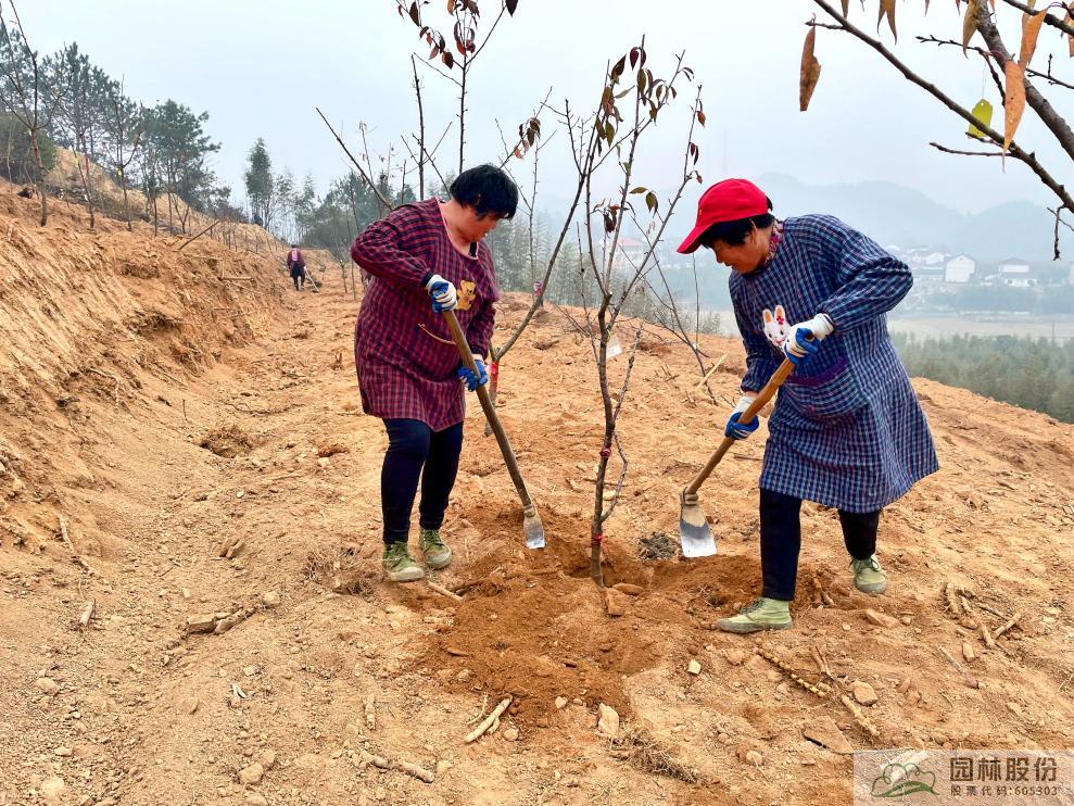 彩运网(中国游)官方网站