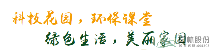 彩运网(中国游)官方网站