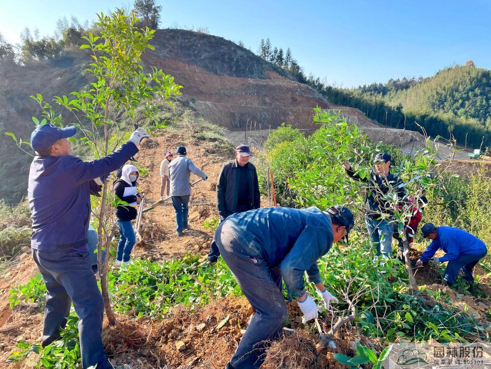 彩运网(中国游)官方网站