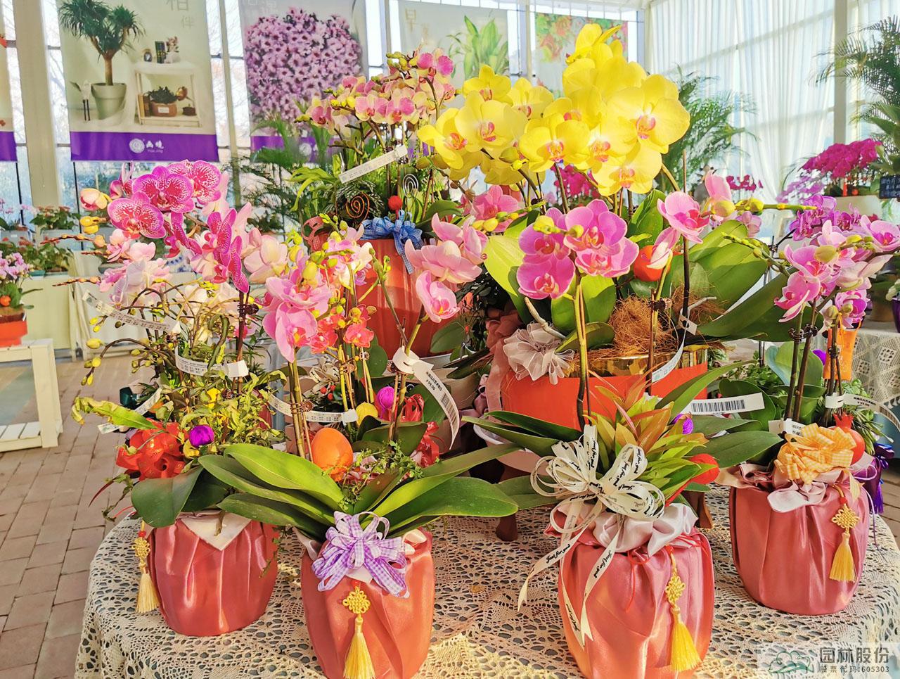 彩运网(中国游)官方网站