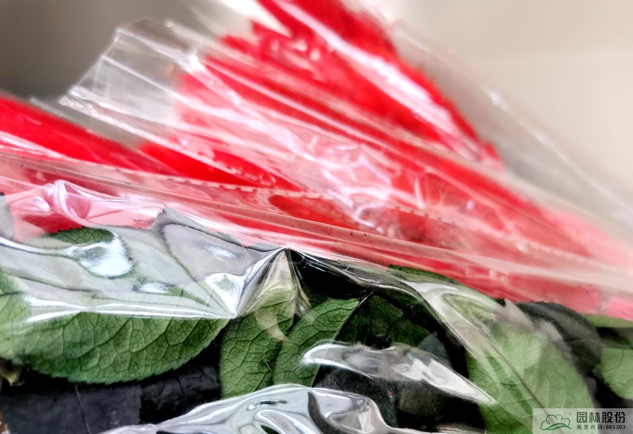 彩运网(中国游)官方网站