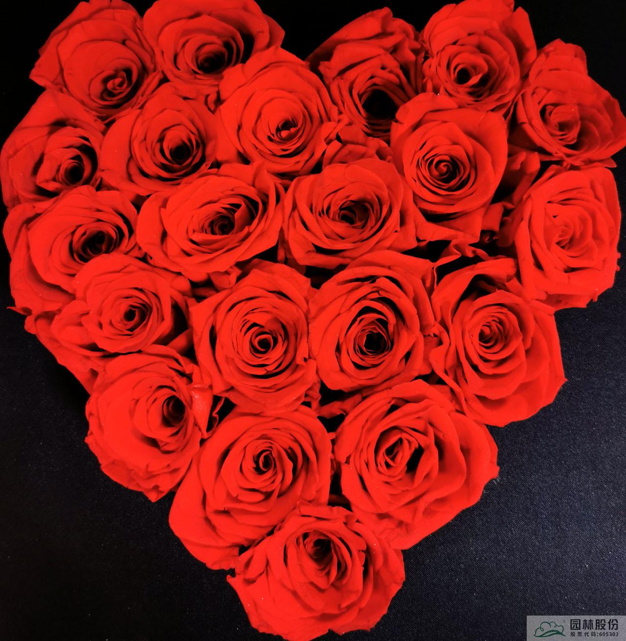 彩运网(中国游)官方网站