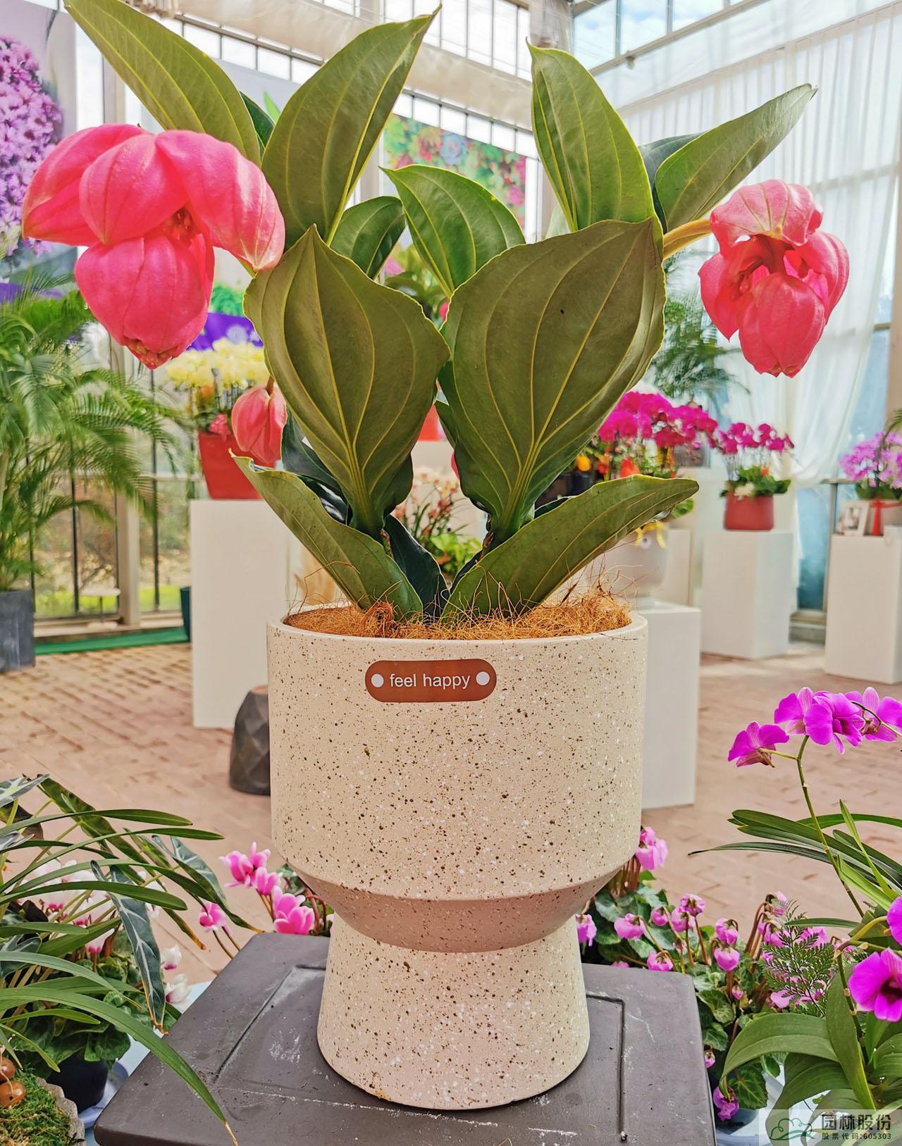 彩运网(中国游)官方网站