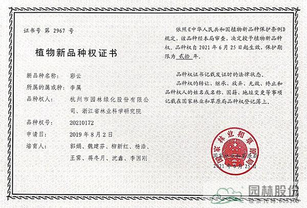 彩运网(中国游)官方网站