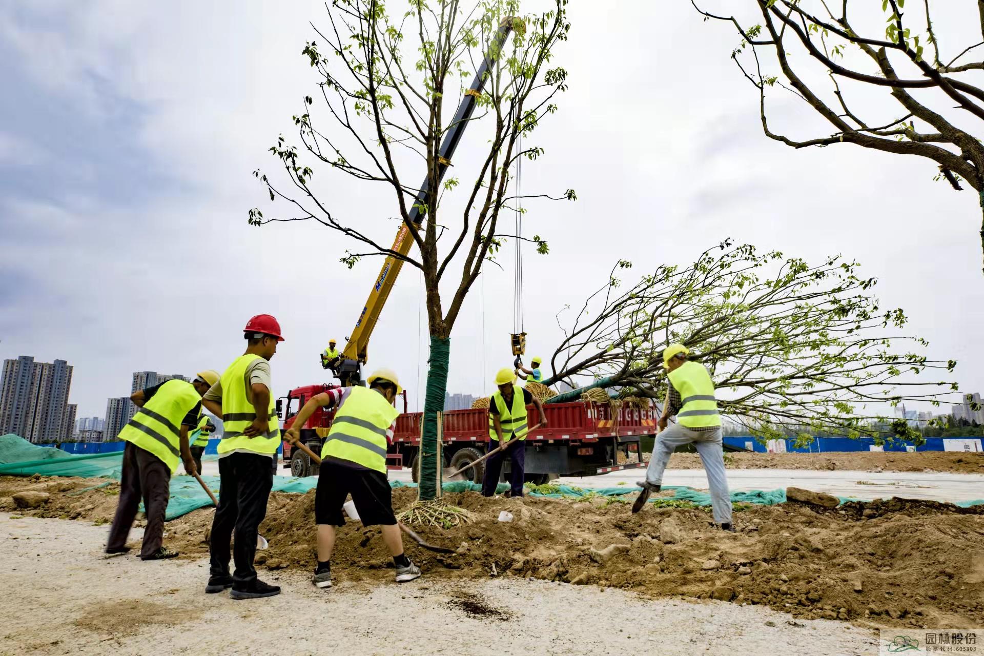 彩运网(中国游)官方网站