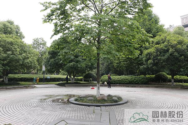 彩运网(中国游)官方网站