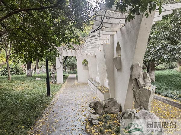 彩运网(中国游)官方网站