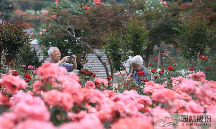 彩运网(中国游)官方网站