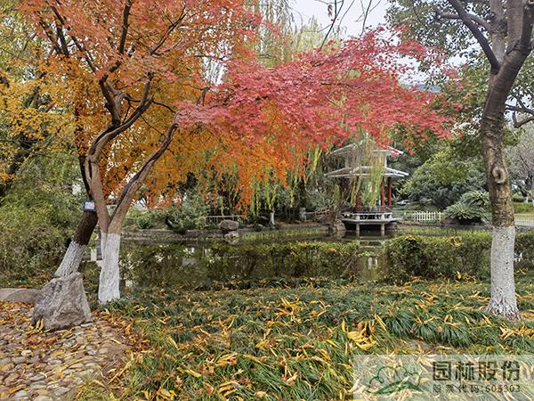 彩运网(中国游)官方网站