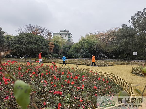 彩运网(中国游)官方网站