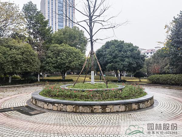 彩运网(中国游)官方网站