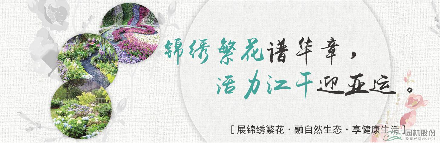 彩运网(中国游)官方网站