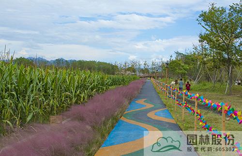 彩运网(中国游)官方网站