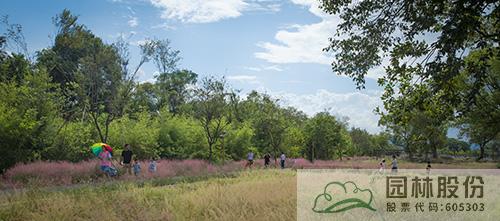 彩运网(中国游)官方网站