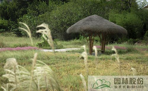 彩运网(中国游)官方网站