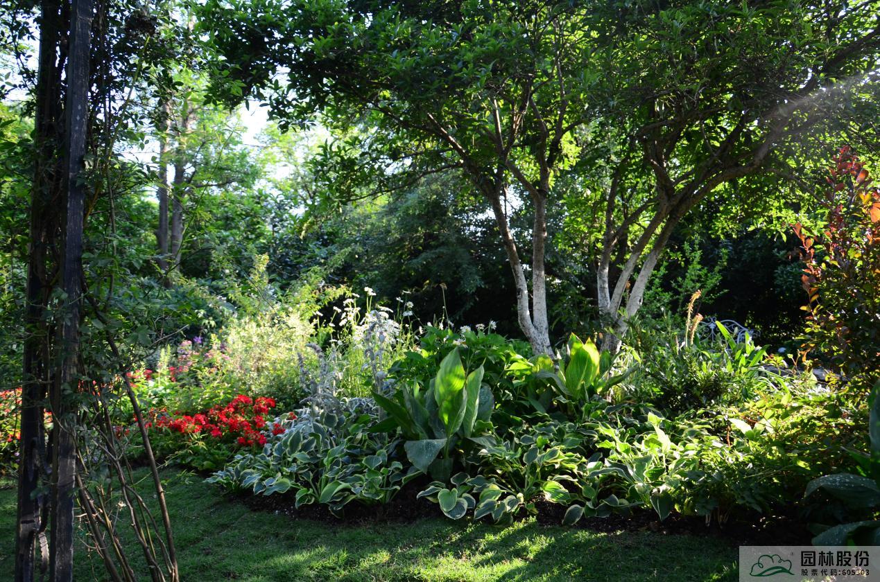 彩运网(中国游)官方网站