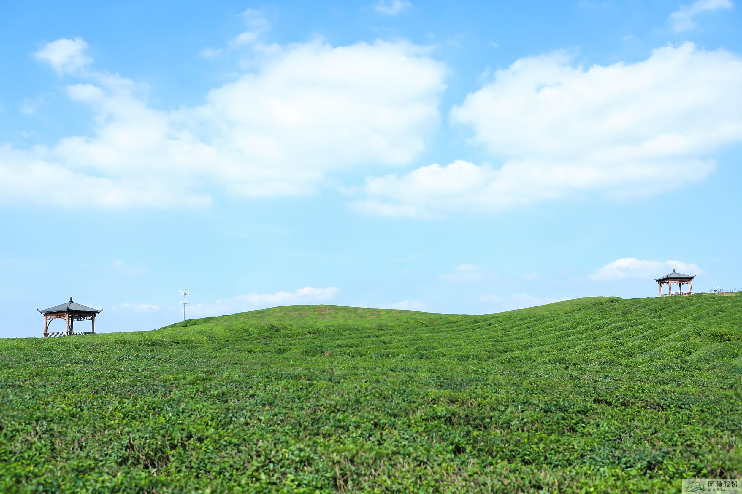 彩运网(中国游)官方网站
