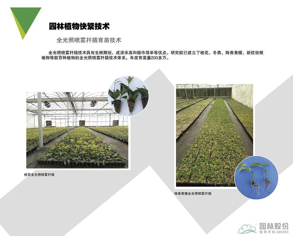 彩运网(中国游)官方网站