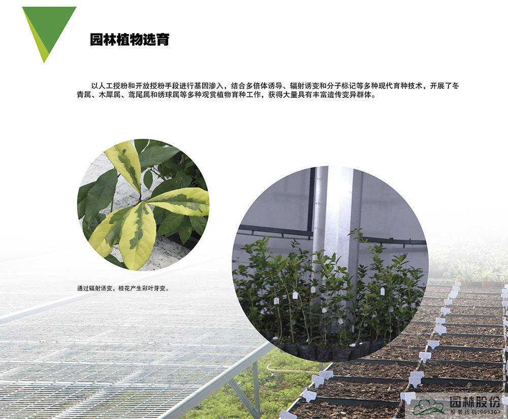 彩运网(中国游)官方网站