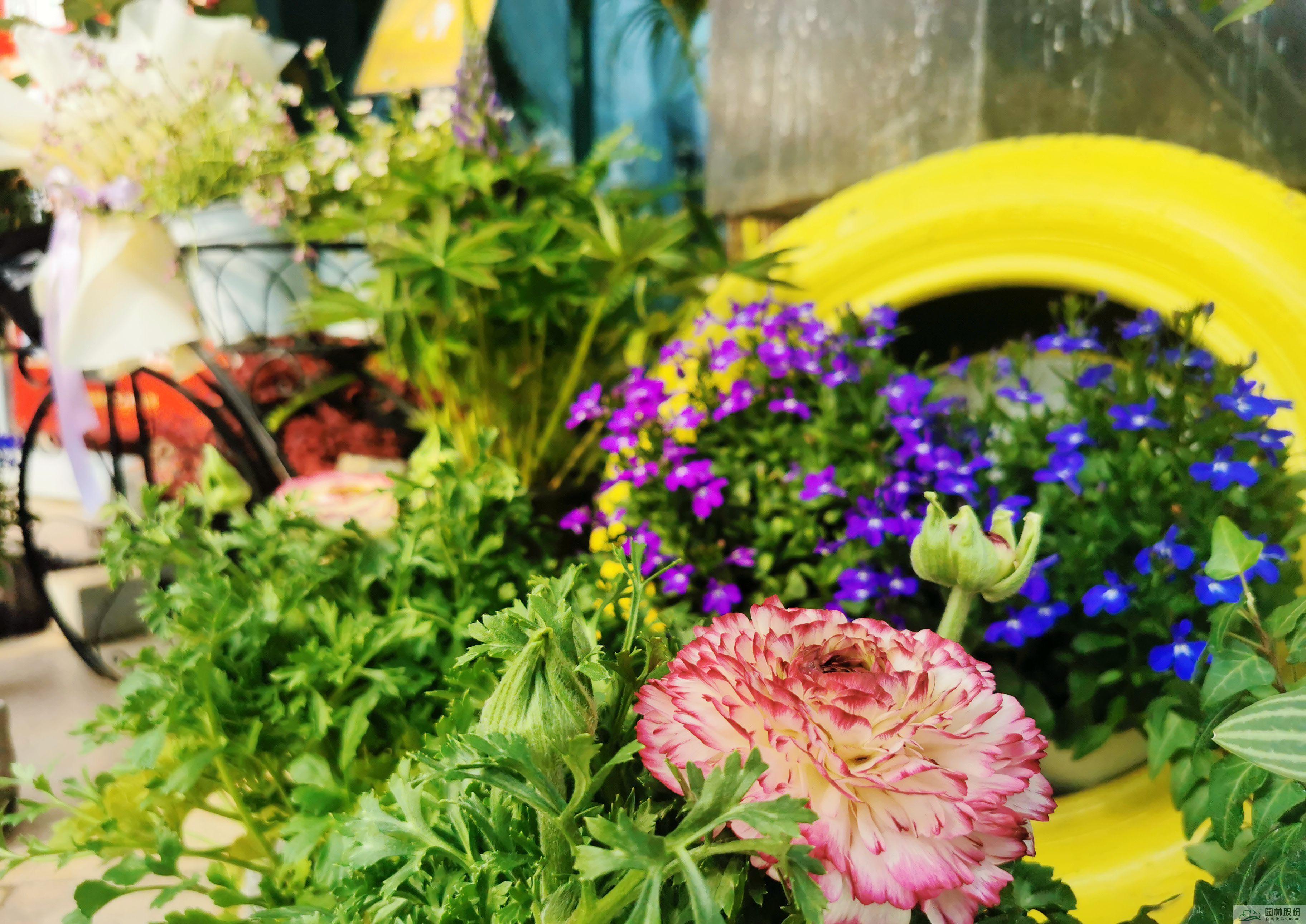 彩运网(中国游)官方网站