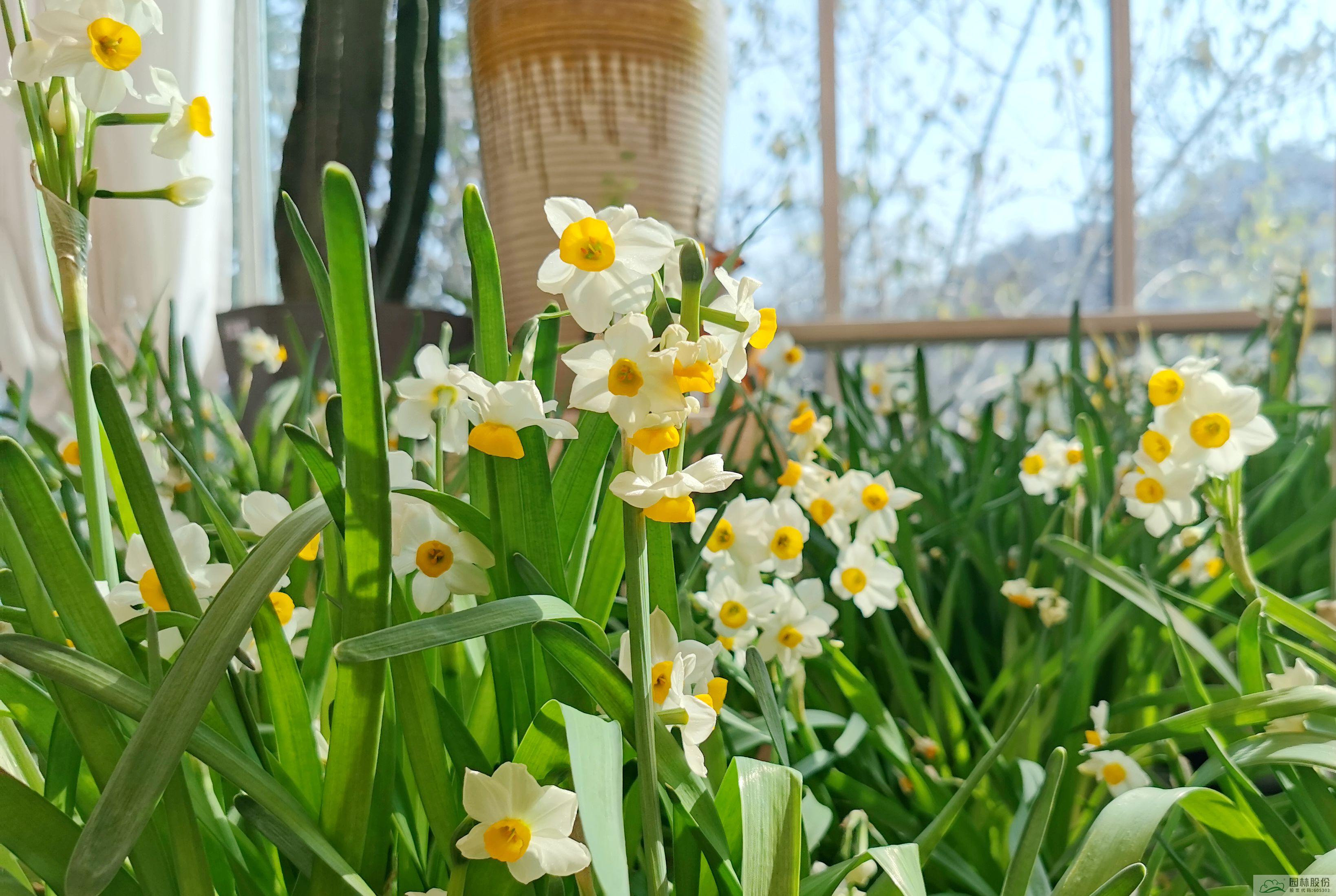 彩运网(中国游)官方网站