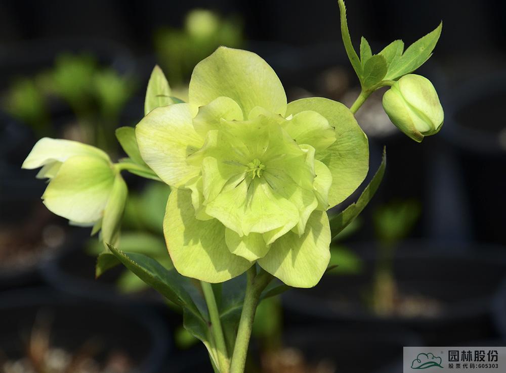 彩运网(中国游)官方网站