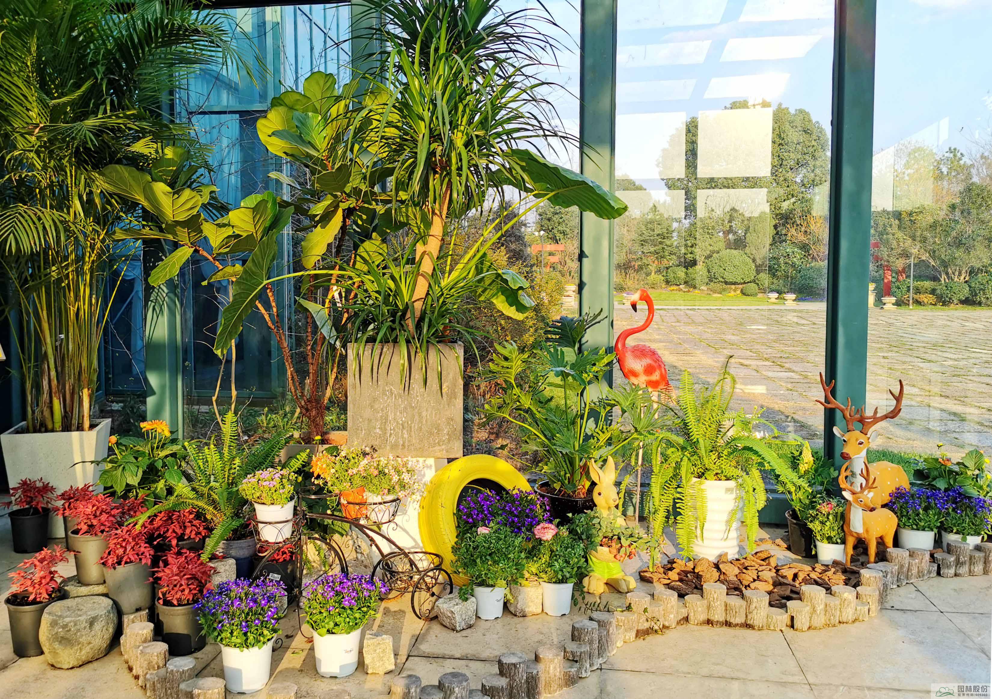 彩运网(中国游)官方网站