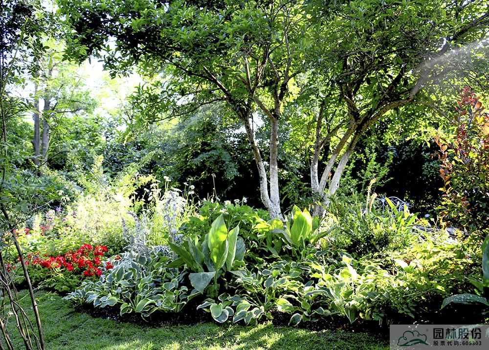 彩运网(中国游)官方网站