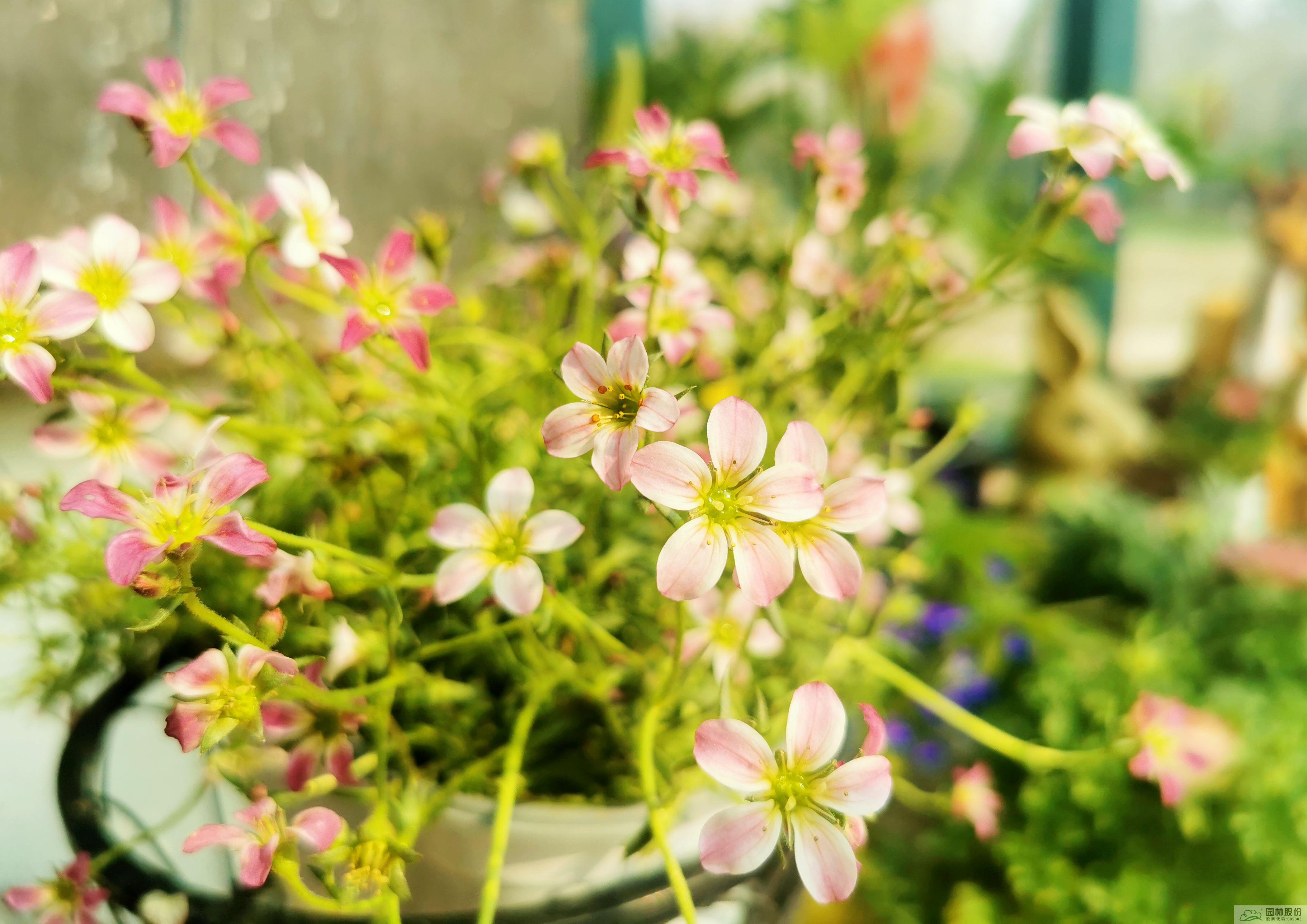 彩运网(中国游)官方网站