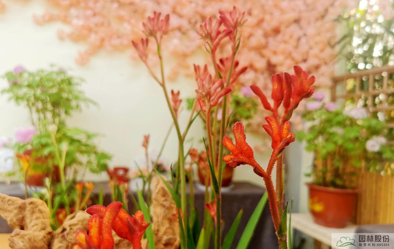 彩运网(中国游)官方网站