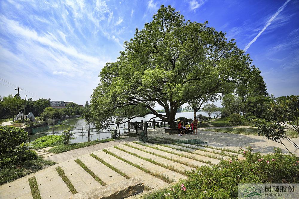 彩运网(中国游)官方网站