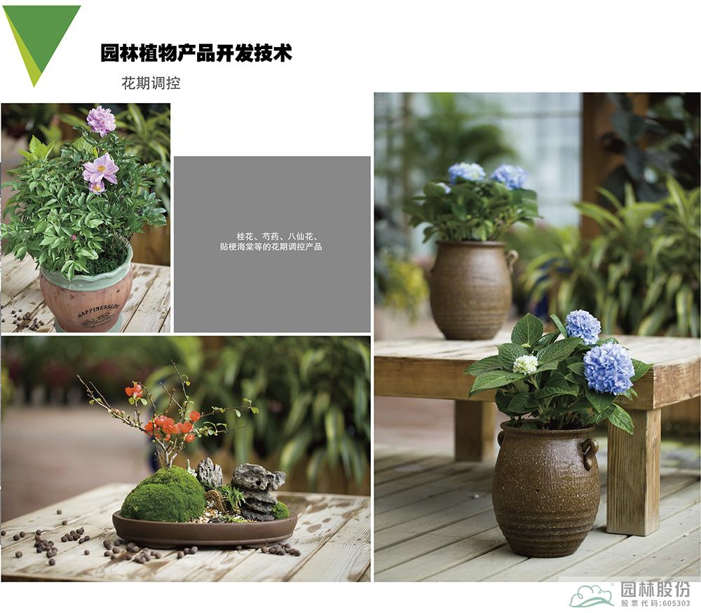 彩运网(中国游)官方网站