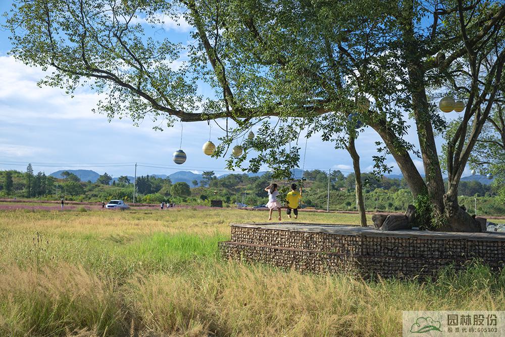 彩运网(中国游)官方网站