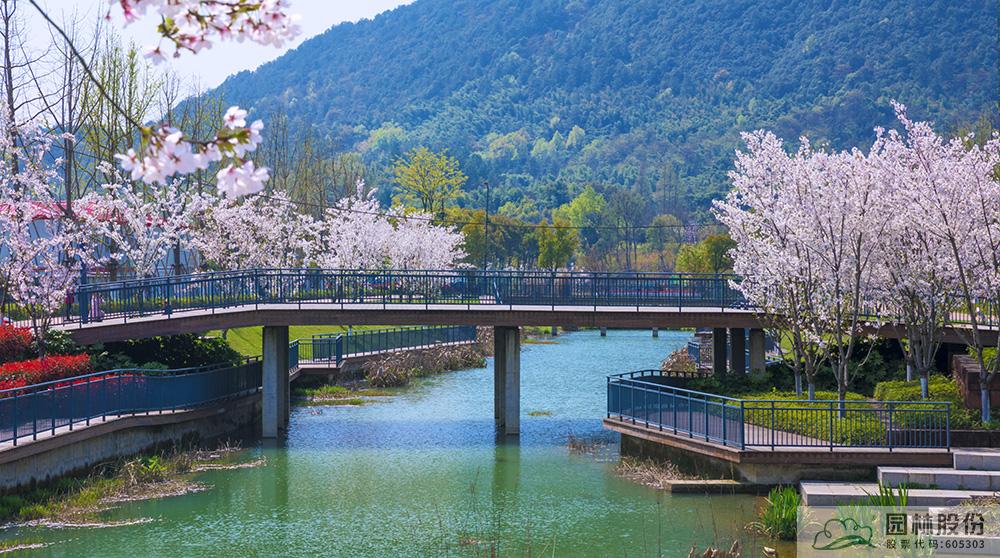 彩运网(中国游)官方网站