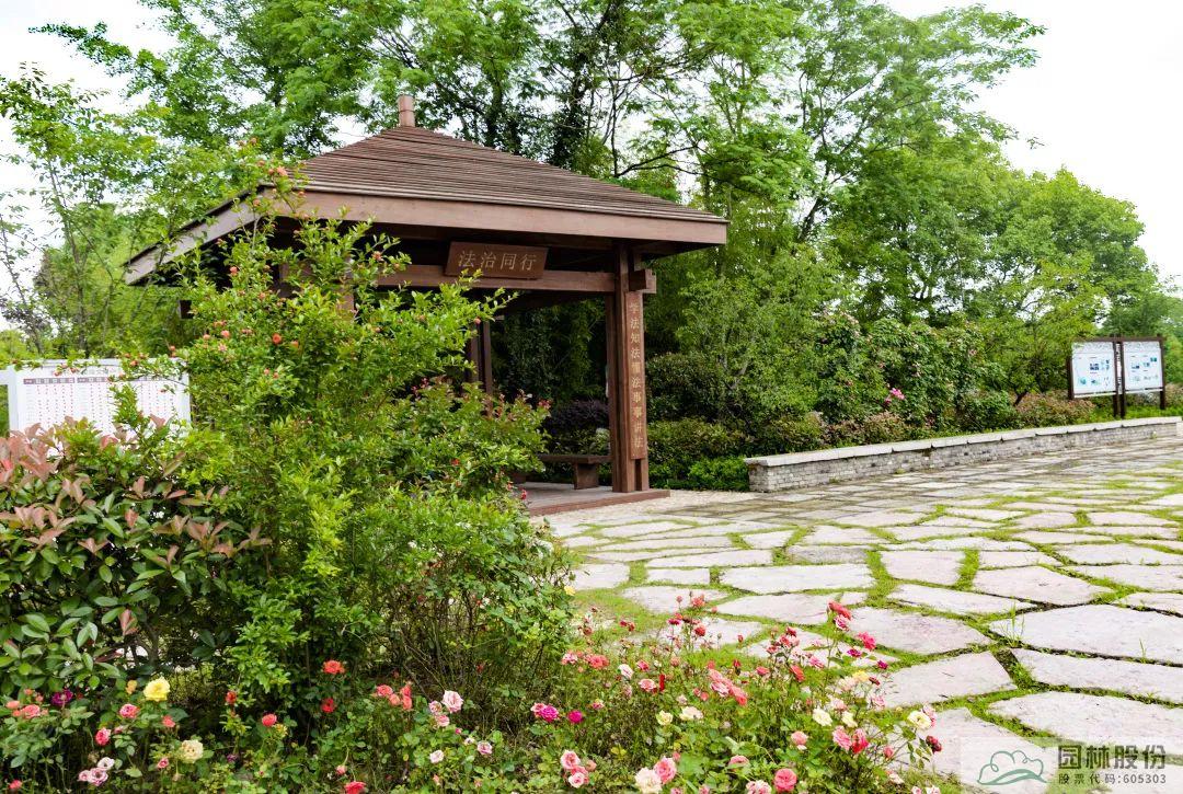 彩运网(中国游)官方网站