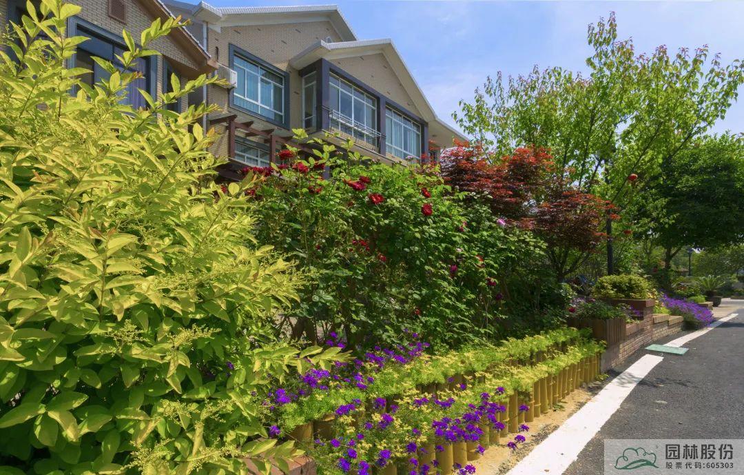 彩运网(中国游)官方网站