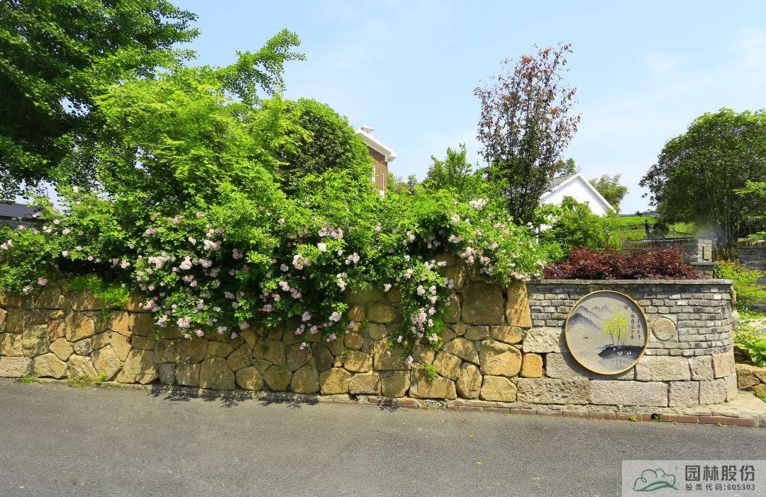 彩运网(中国游)官方网站