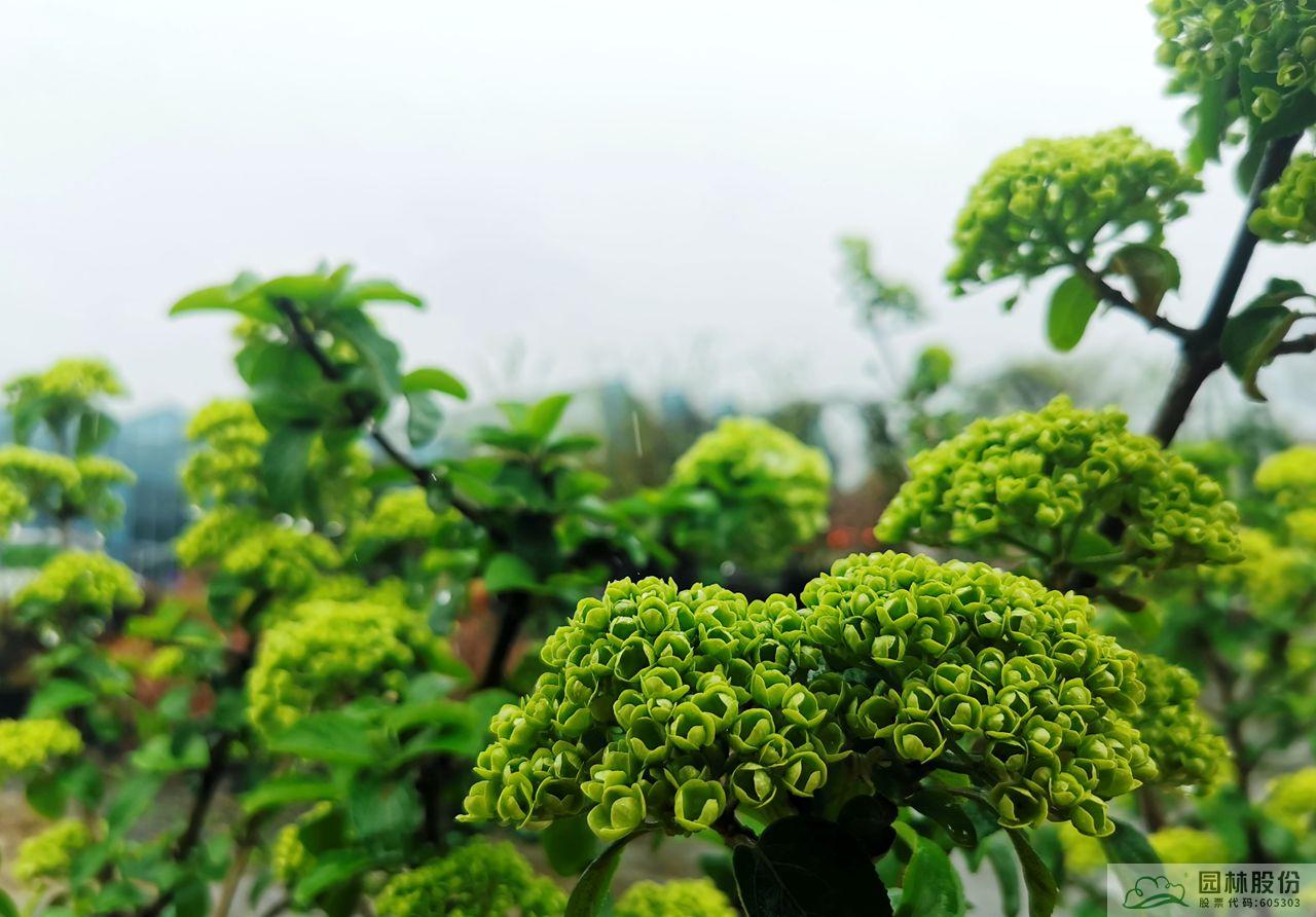 彩运网(中国游)官方网站