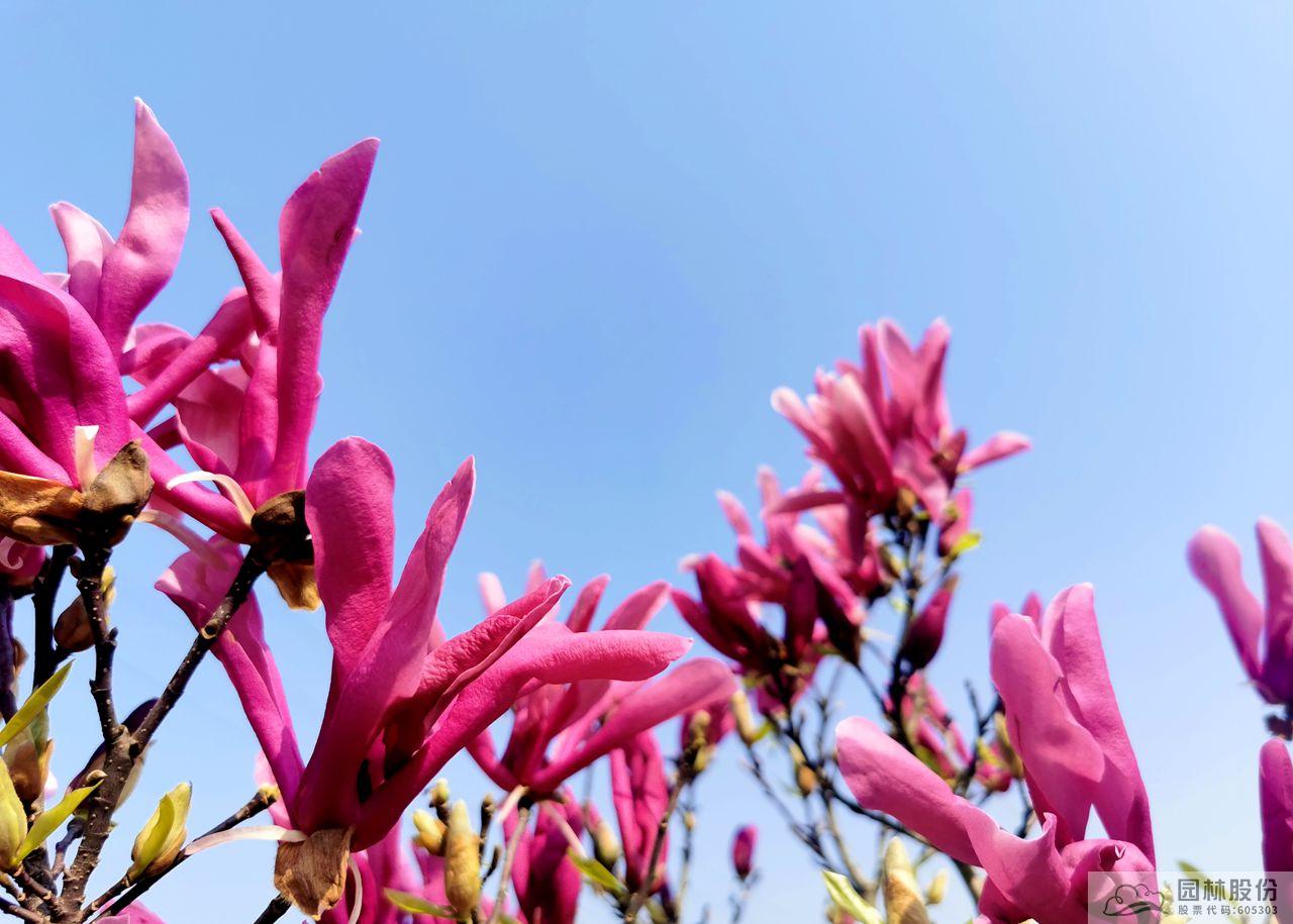 彩运网(中国游)官方网站