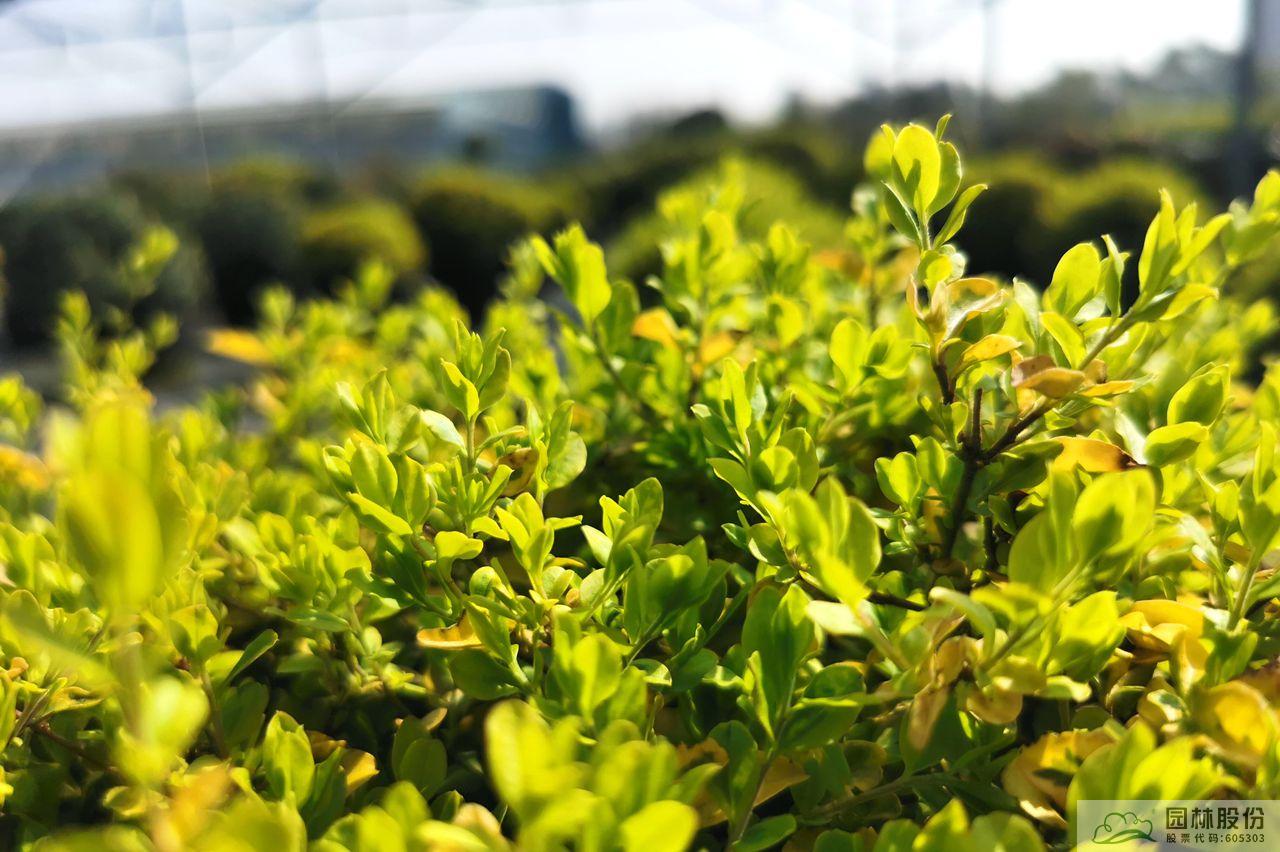 彩运网(中国游)官方网站