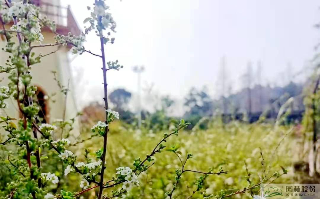 彩运网(中国游)官方网站