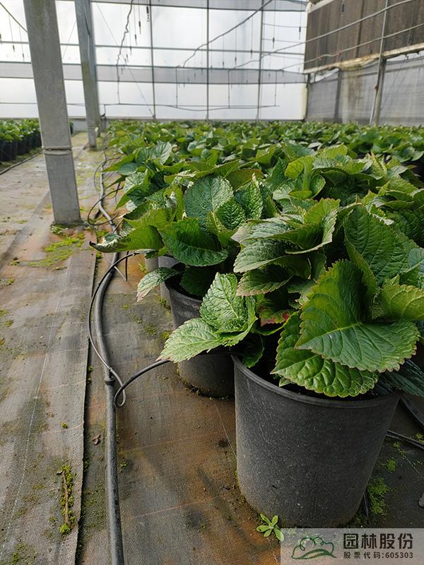 彩运网(中国游)官方网站